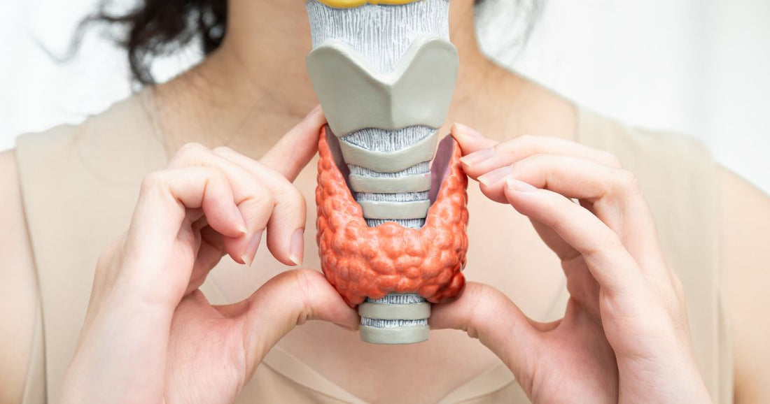 disruptores endócrinos