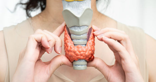 disruptores endócrinos